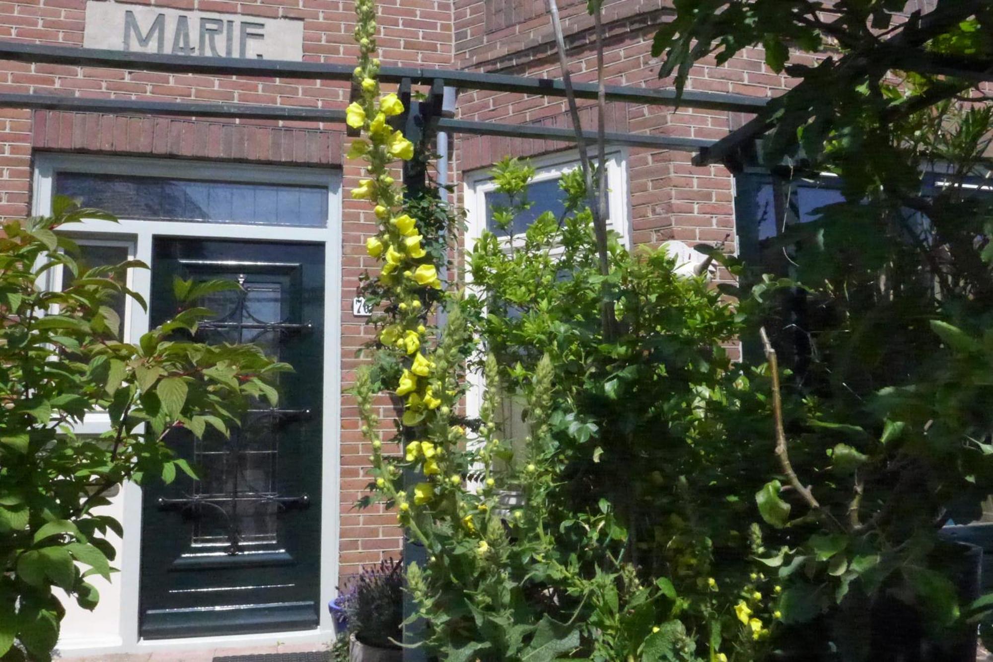 Family Home Marie Zandvoort Eksteriør billede